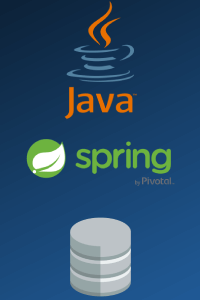 Backend technos : java, spring, database